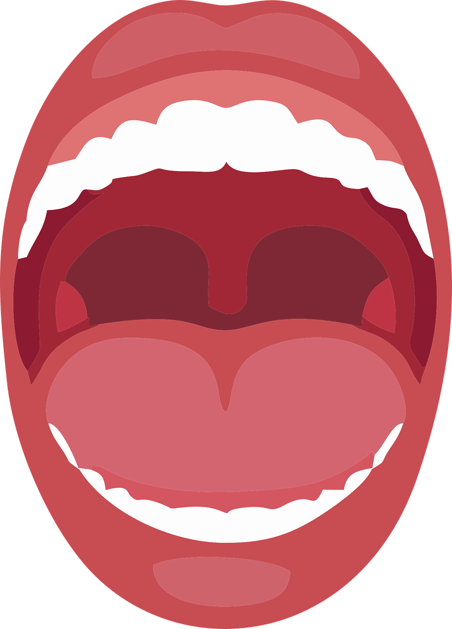 mouth-5166305_1280